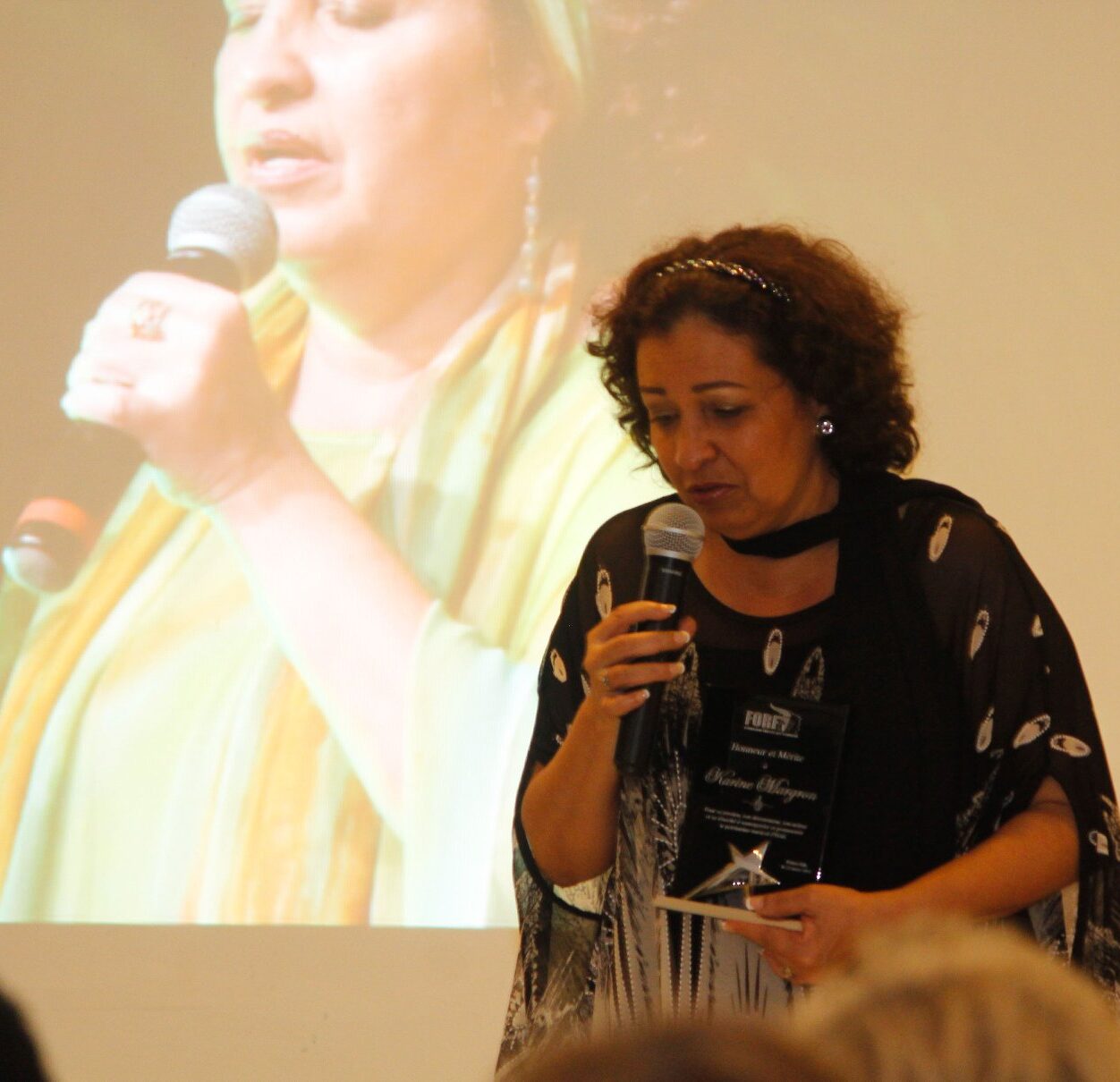 Remise de plaques Honneur et Mérite à Karine Margron et Julio Racine